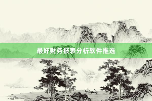 最好财务报表分析软件推选