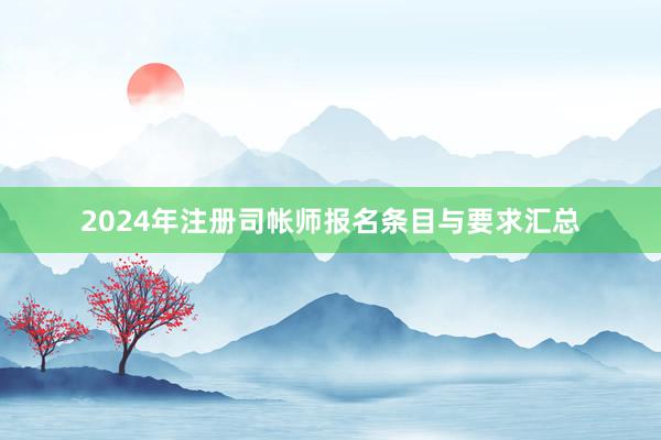 2024年注册司帐师报名条目与要求汇总