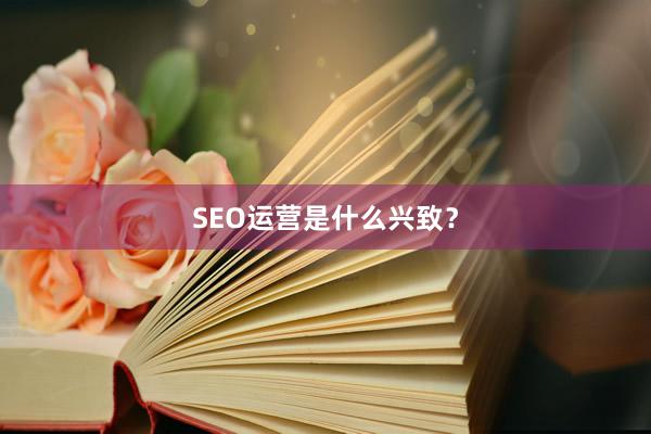 SEO运营是什么兴致？