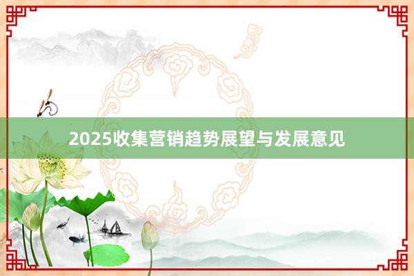 2025收集营销趋势展望与发展意见