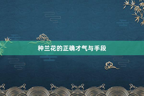 种兰花的正确才气与手段