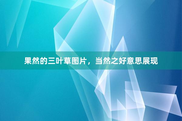 果然的三叶草图片，当然之好意思展现